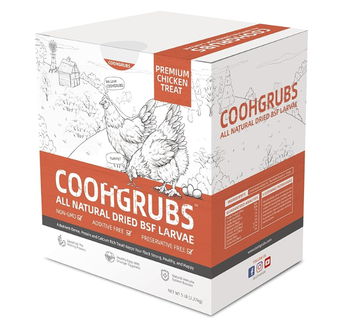 Black Soldier Fly Larvae